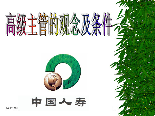 高级主管的观念及条件-30页PPT资料