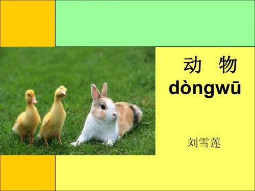幼儿动物介绍