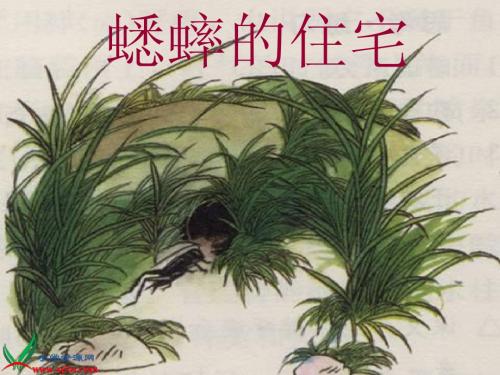 新课标人教版四年级语文上册7《蟋蟀的住宅》PPT课件