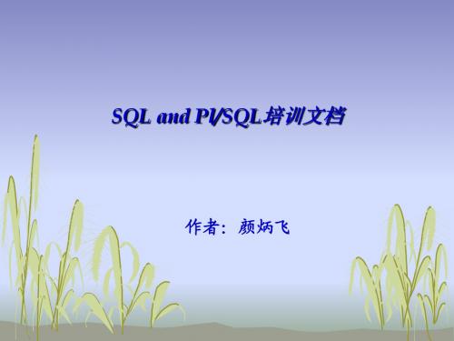 SQL-PLSQL教程