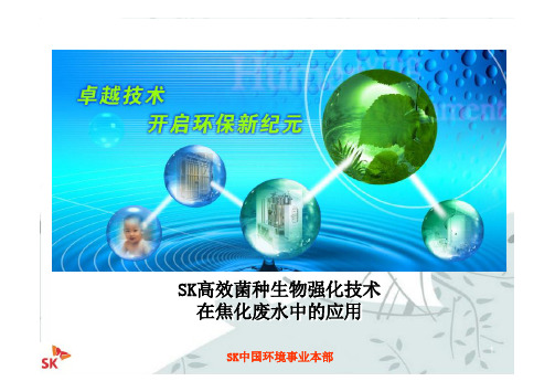 微生物强化技术(焦化废水)