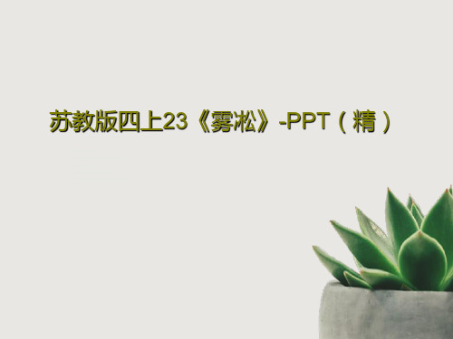 苏教版四上23《雾凇》-PPT(精)25页PPT