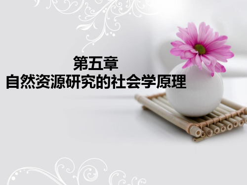 自然资源学基本原理第五章