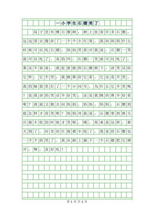 年一年级小学生作文石榴笑了