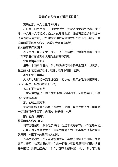 夏天的家乡作文（通用55篇）