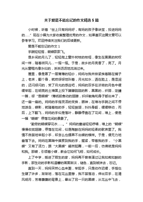 关于爱是不能忘记的作文精选5篇