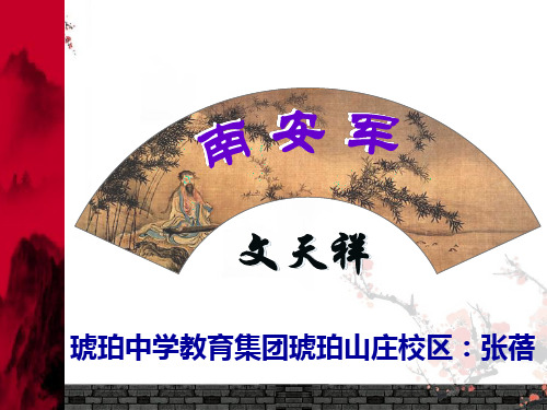 语文人教版(部编)九年级下册《南安军》课件公开课(41)
