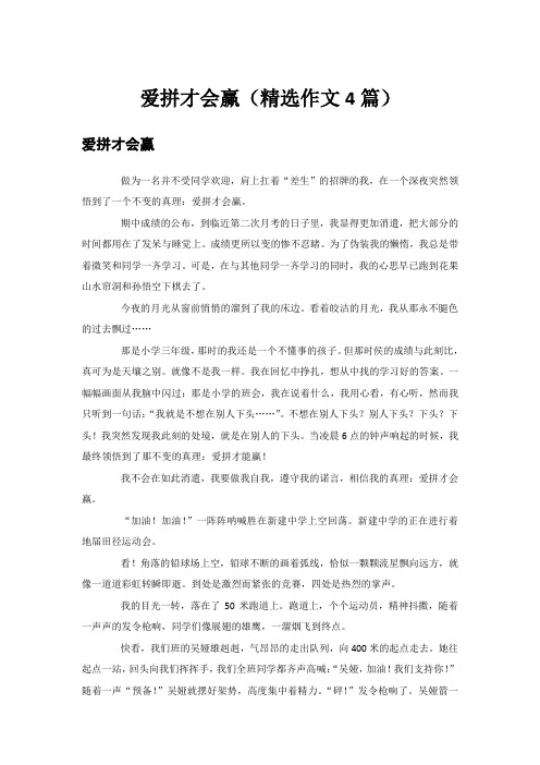 爱拼才会赢(精选作文4篇)