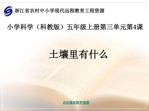土壤里有什么