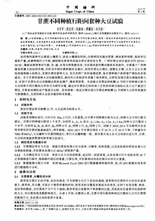甘蔗不同种植行距间套种大豆试验