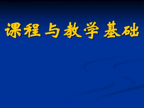 课程与教学基础(全)