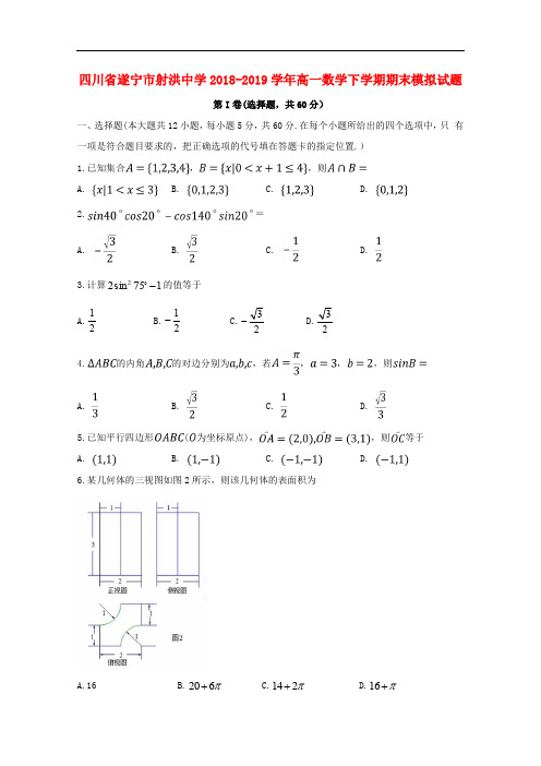四川省遂宁市射洪中学学高一数学下学期期末模拟试题