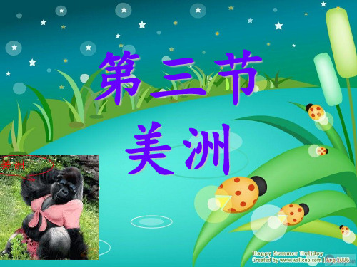 美洲