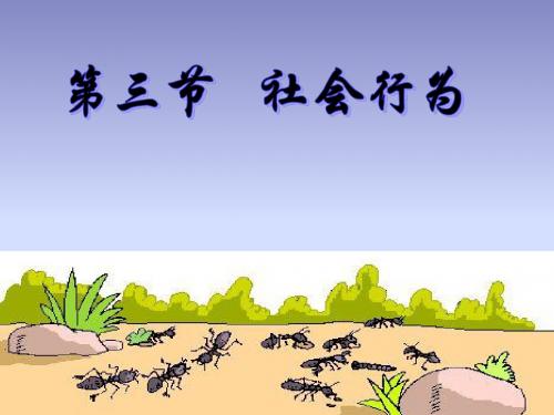2.3 社会行为