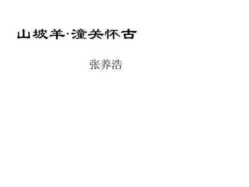 人教版八年级语文下册《五单元  阅读  25 诗词曲五首  山坡羊.潼关怀古》示范课件_14
