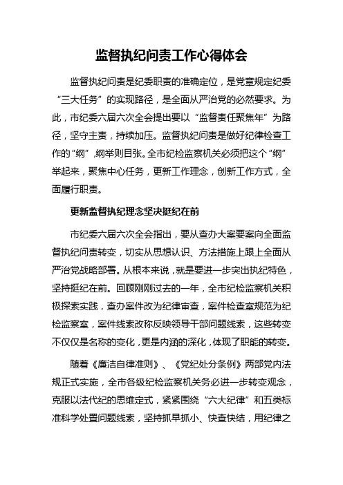 监督执纪问责工作心得体会