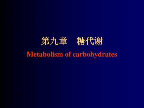 糖代谢分析课件