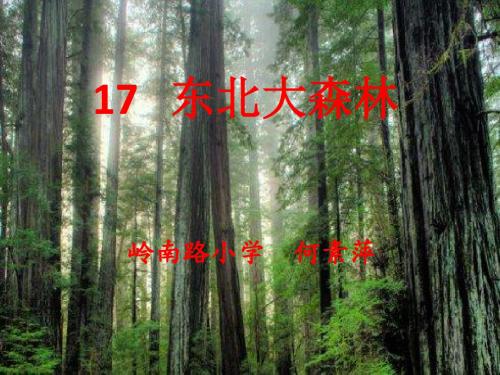 四年级下册语文课件-17. 东北大森林 ▎冀教版 (共31张PPT)