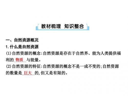 中考总复习地理湘教版课件：第十单元 中国的自然资源