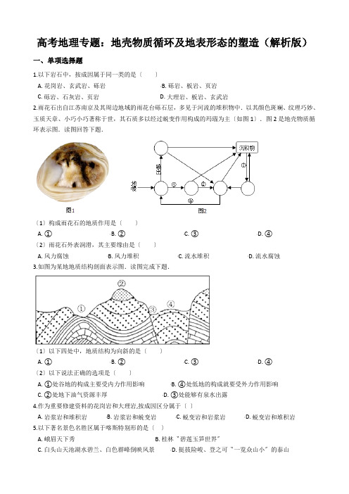 高考地理专题：地壳物质循环及地表形态的塑造(解析版)