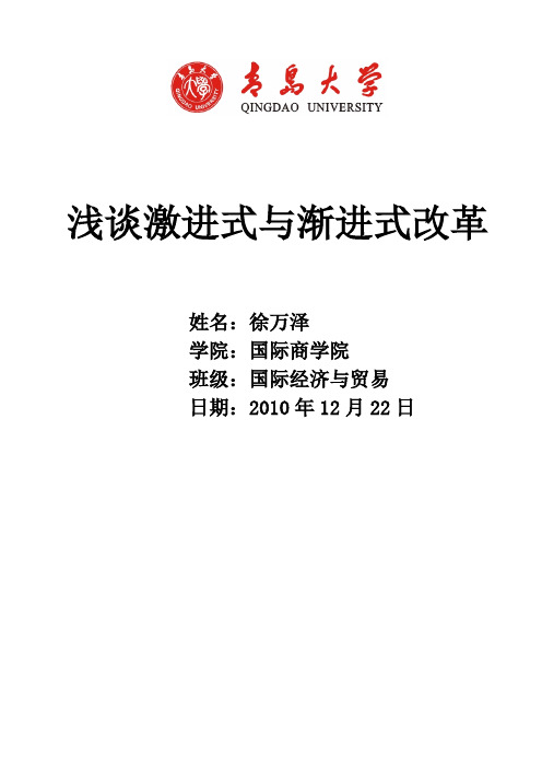 激进式与渐进式改革