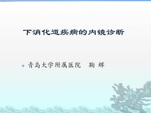 下消化道疾病诊断