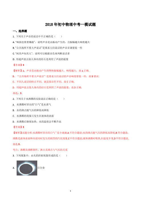 2018年初中中考物理一模试题解析