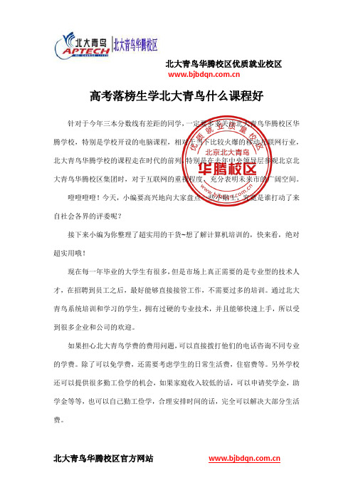高考落榜生学北大青鸟什么课程好