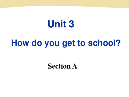 新版人教新目标七年级下册_Unit_3_How_do_you_get_to_school
