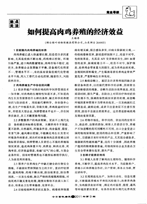 如何提高肉鸡养殖的经济效益