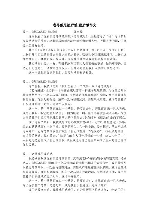 老马威尼读后感_读后感作文