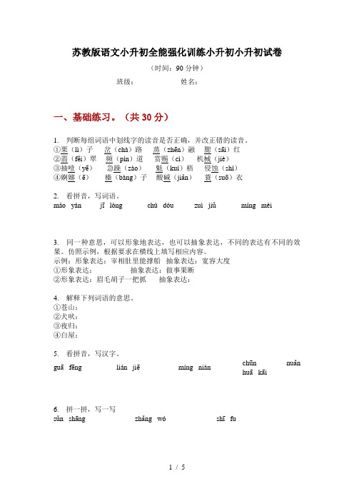 苏教版语文小升初全能强化训练试卷