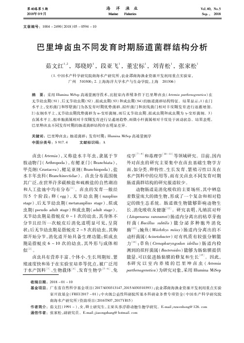 巴里坤卤虫不同发育时期肠道菌群结构分析