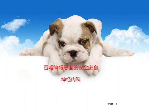 吞咽障碍患者的安全进食的护理PPT课件