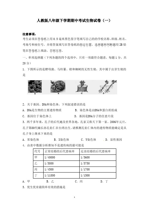 人教版八年级下学期期中考试生物试卷及答案(共五套)