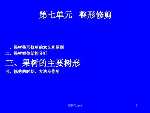 果树整形修剪——主要树形ppt课件