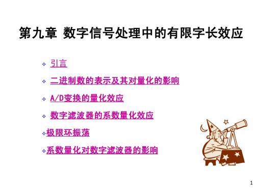 第九章 数字信号处理中的有限字长效应