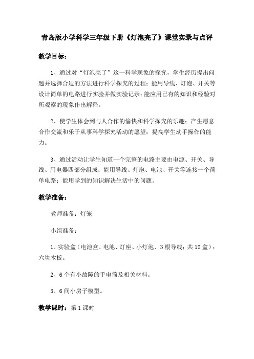 《小学科学三年级下册灯泡亮了》课堂实录与点评