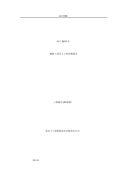 地质勘查报告