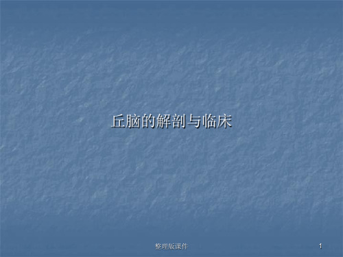 丘脑的解剖与临床ppt课件