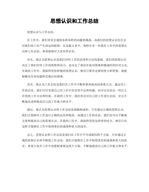 思想认识和工作总结