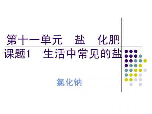 课题1_生活中常见的盐—氯化钠