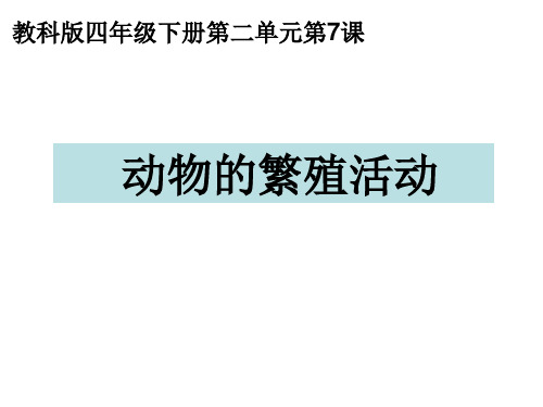《动物的繁殖活动》PPT课件