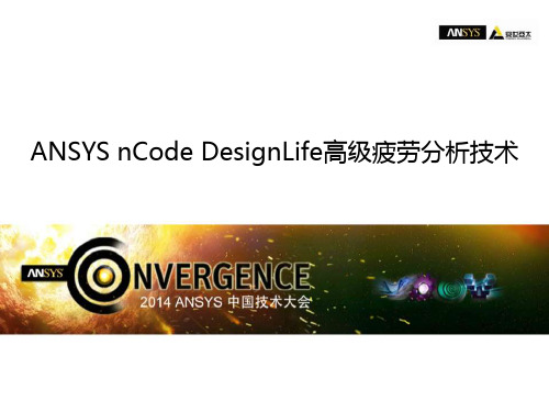 pera ANSYS nCode DeaignLife 高级疲劳分析技术