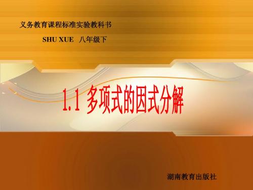 1.1多项式的因式分解课件1