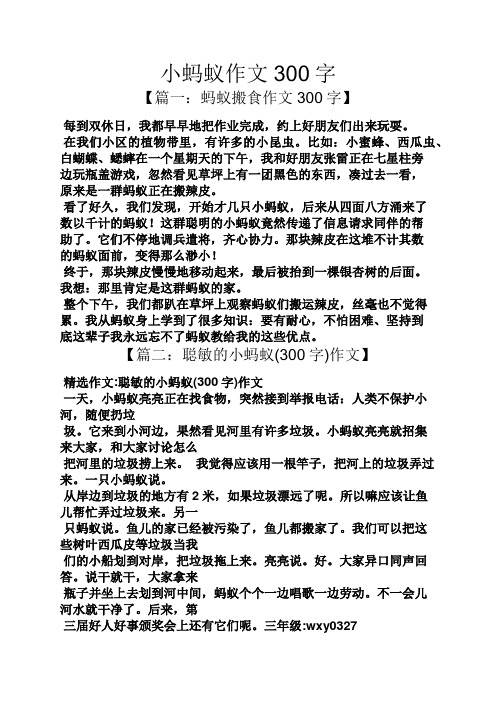 小蚂蚁作文300字