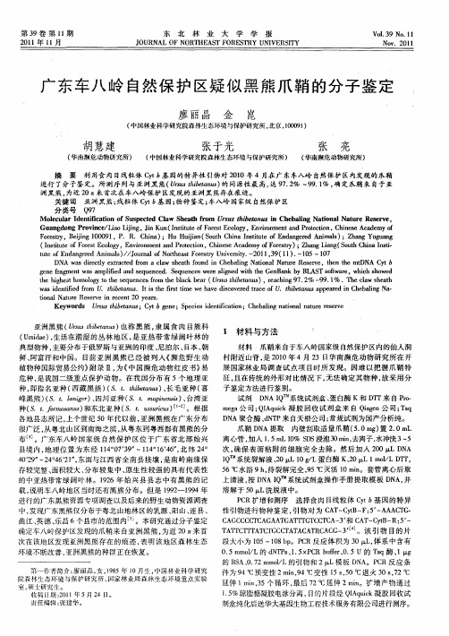 广东车八岭自然保护区疑似黑熊爪鞘的分子鉴定