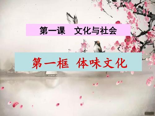 体味文化