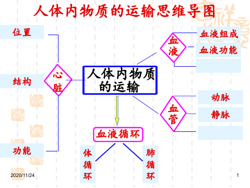 血液循环系统 ppt课件