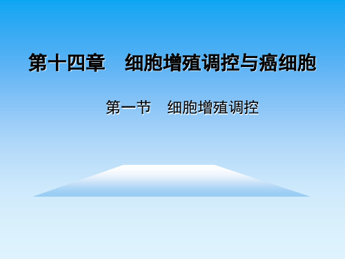 第十四章 细胞增殖调控与癌细胞
